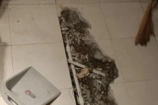 宜秀卫生间漏水检测电话